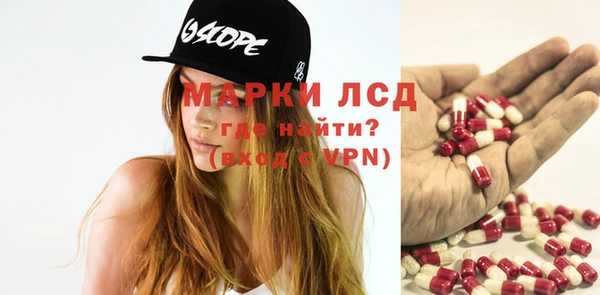стаф Касимов